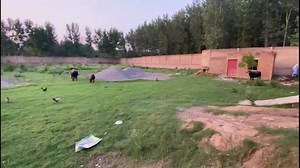 40K views · 589 reactions | 03159964517 ترناب میں صرف ایک لاکھ پچاس ہزار مرلہ پلاٹ بجلی گیس #taajob #funnymemes #funny #funnyvideos #funnypost #reelsviralシ #reelsfacebook #reelschallenge #vedioviral #taajob #تعجب #photographychallengechallenge #BestPhotographyChallenge #reelsviralシ #photographychallengechallenge #reelschallenge #funnyvideos #vedioviral #funnypost | Ijaz Khalid property online sales | Facebook