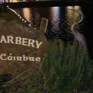 A magic atmosphere on the Rosscarbery causeway this evening as it was lined with candles🕯 to mark 200 years of the causeway being built. It now forms a crucial part of #ireland #wildatlanticway and a vital piece of everyday life in #westcork The history that this crossing has seen over the years is something else! The #localcommunity will mark this with many events during #2020 #happynewyear #newyearseve #purecork #celticross #celticrosshotel Rosscarbery Causeway 200 | Celtic Ross Hotel