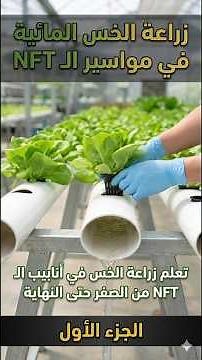 تعلم زراعة الخس بالزراعة المائيه في أنابيب الـ NFT من الصفر حتى النهاية (خطوة بخطوة ) الجزء الأول