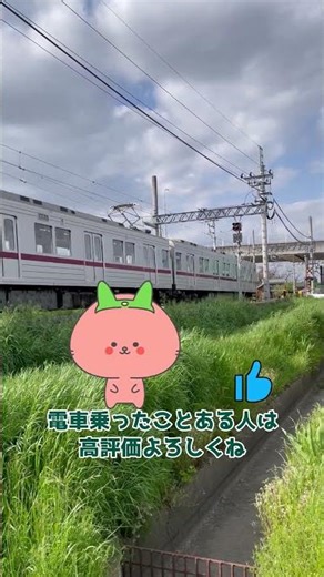 電車が来た！電車を見る！