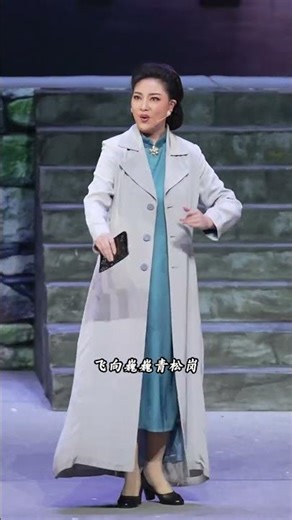 Huangmei Opera: Jiang Jie's Masterclass in Hongmeizan Tribute