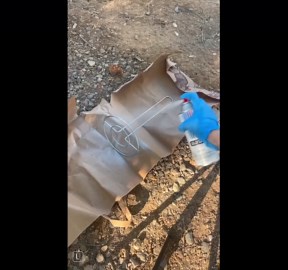 Grab some Dollar Tree baskets and paper towel holders!