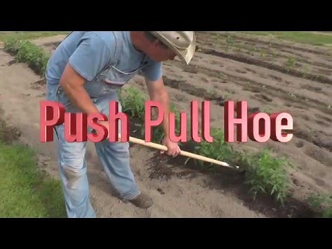 The Best Garden Hoe You've Ever Used