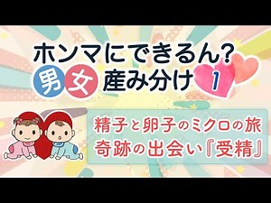 (1) 【男女産み分け】 精子と卵子のミクロの旅 奇跡の出会い『受精』