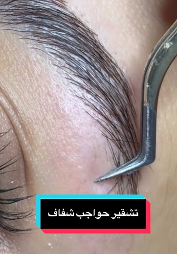 تشقير حواجب شفاف مع Browlift في رويبة