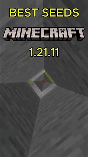 BEST SEEDS Minecraft 1.21.11 #minecraft