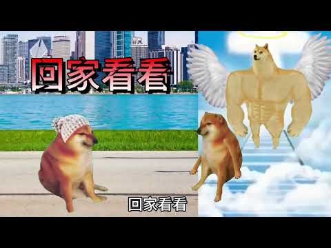 Cheems大合集：规则怪谈-回家看看…#cheems #真实事件改编 #爱情 #原创动画 【cheems诠释】