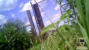 90K views · 501 reactions | Watch the full video for the MANY lessons...