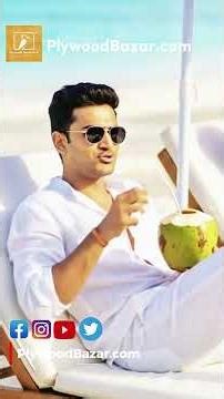 Plywood trading made easy with plywoodbazar