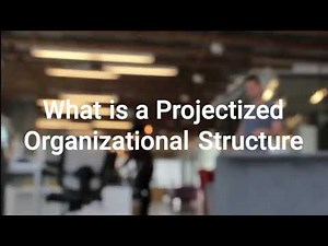 What is a Projectized Organization?