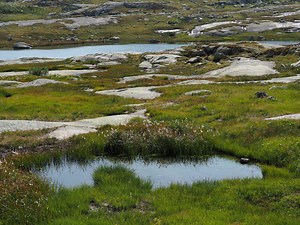 Dr. Pimple Popper Just Popped A Patient's 'Boggy' And 'Wet' Ear Cyst