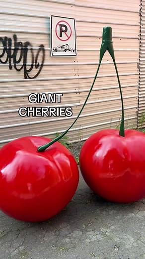 Without a doubt my best find of 2024 🍒 #diyproject #homedecor #interiordesign