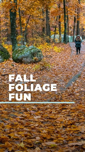 I know leaf peeping season is short — but Missouri makes it sweet. 🍂👀 From hiking golden tree-lined trails to floating along fiery-red river bluffs, there’s as much fun to be had as there are colors to be seen. See Missouri’s most vivid fall adventures at the #LinkInBio. — Mo #ThatsMyMO | Visit Missouri