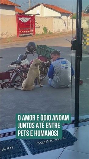 O amor e ódio andam juntos até entre pets e humanos! 🐶🥰