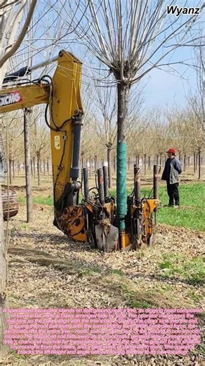 tree digging excavator lifting tree with vertical claw | daily construction routine
