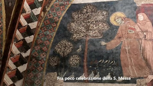 18 febbraio 2026 - Preghiera del mattino e Santa Messa. I frati del Sacro Convento vi invitano a unirvi a loro nella Basilica di san Francesco in Assisi per la preghiera del mattino seguita dalla Santa Messa. - ✅ Desideri aiutare i frati a farsi prossimi a chi ne ha più bisogno? 🙏 Clicca qui sopra ➡️ http://bit.ly/dona_sanfrancesco_assisi | SAN FRANCESCO D'ASSISI