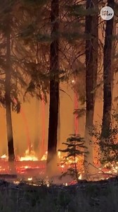 Rapidly growing wildfires setting multiple western US states ablaze