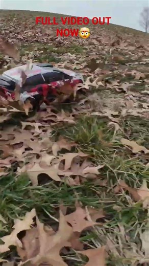 Epic New Street Basher 😎 #bashing #rccars #rccar #rc