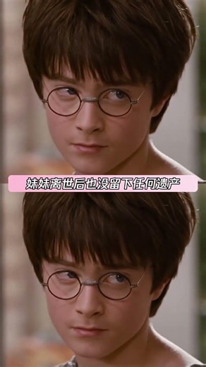 长大后才发现哈利·波特的姨妈不是坏人 #哈利·波特与魔法石 #哈利·波特