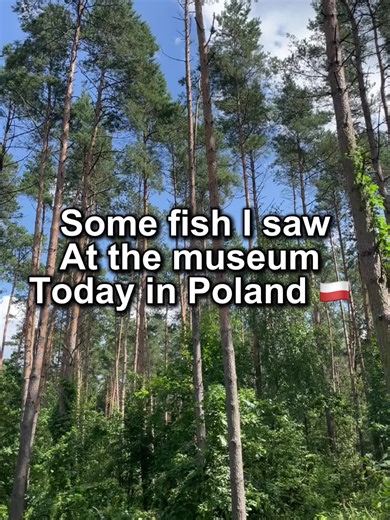 Explore Freshwater Fish Wonders at Poland's Museum