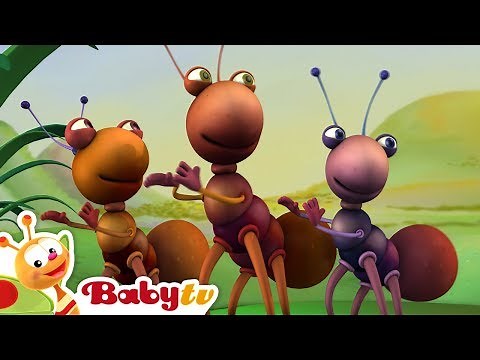 Big Bugs Band 🐛 🐜 | Traditional African Music for Kids 🎵 Cartoons ‪@BabyTV‬