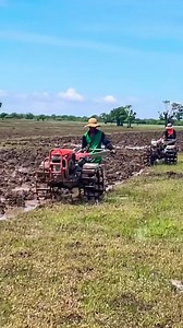 293K views · 2K reactions | Field plowing by mini-tractor #tractor #Tractors #tractorride #tractorlife #tractorpulling #tractorsupply #tractortrailer #tractortestcom #tractortest #tractorporn #tractorpull #tractortire #tractortires #tractorjeans #Tractores #tractorpulls #tractorgirl #TractorTuesday #tractorlove #tractorbumper #tractorlovers #tractorrides #tractorshow #tractorsazi #tractortavern #tractorhistory #tractoreggs #tractorgirls #tractordriver #tractorcannon | Allan Wilkins | Facebook