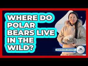 Where Do Polar Bears Live In The Wild?