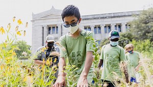 Urban nature on Museum Campus would make a healthier, more resilient Chicago