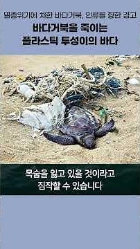 그물에 걸려 죽어가는 바다거북 - 멸종위기의 바다거북, 인류를 향한 경고 #해양쓰레기 #자연보호