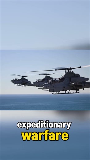 Apache vs Viper - Not the Same Beast!!! #military #aviation