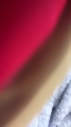 Exploring the Sturdy Condors of North County High School | TikTok