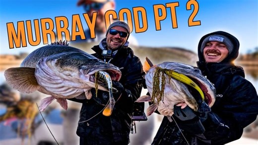Monster Murray Cod part 2 | Dean Silvester