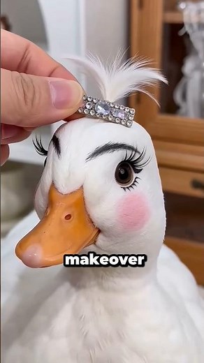Cute Call Ducks Doing the Funniest Things Ever 🦆😂