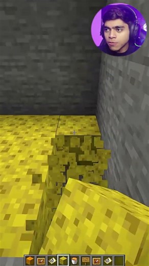 Minecraft FAKE Hay Bale Trap Moment😯 #minecraft #shorts