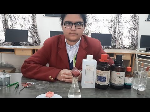 Prepare slide of onion root tip to observe mitosis‪@biomadeeasywithrachnashukl2285‬