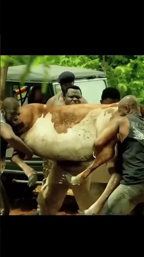 "رجل يغامر في بئر مليء بأسماك البيرانا لاستخراج العصا السحرية!"#بيرانا #ملخص_فيلم #شوتس