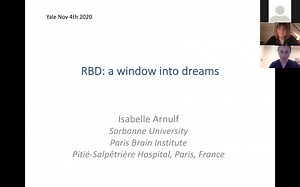 "REM Sleep Behavior Disorder: A Window into Dreams" Isabelle Arnulf (11.04.2020)
