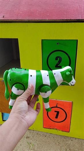 Sapi Belang Hijau Putih