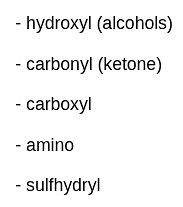 List the following functional groups:hydroxyl (alcohols)carb... | Filo