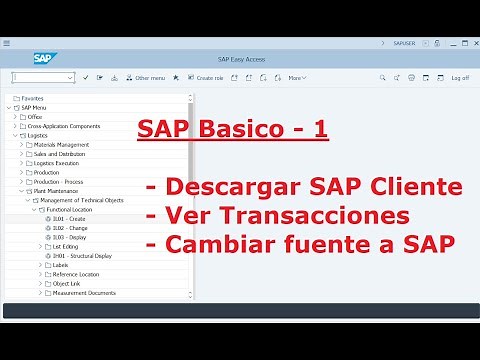 SAP Básico 1