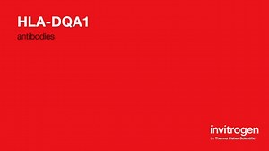 HLA-DQA1 antibodies from Thermo Fisher Scientific