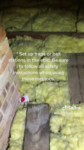 HOW TO GET RID OF RATS IN THE ATTIC * * Inspect the attic to determine how the rats are getting in. Look for holes or gaps in the walls, roof, or foundation. * Seal up any openings that you find using a strong material such as metal sheeting, wire mesh, or cement. Make sure to fill in any gaps around pipes, wires, and vents as well. * Remove any sources of food or water that may be attracting the rats. This may include sealing trash cans, keeping pet food stored in airtight containers, and repai