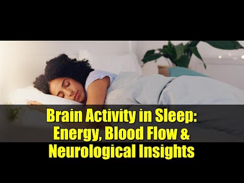 Brain Activity in Sleep: Energy, Blood Flow & Neurological Insights
