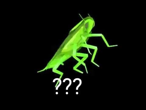 15 Danceing roach in 60 seconds