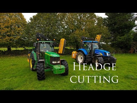 Burkes Headgecutting 2025