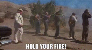 Hold your fire!