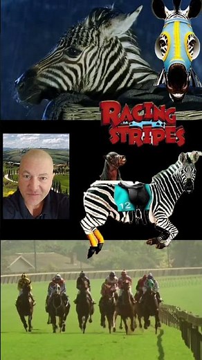 Racing Stripes 2005