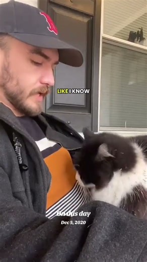 @ murped#feralcat #adoptstrays #rescuecat #straycat