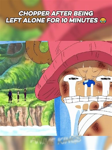 Chopper's Hilarious Horror on the Going Merry