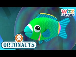 ‪@Octonauts‬ - Colourful Sea Creatures | Compilation | Wizz Cartoons